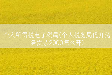 个人所得税电子税局(个人税务局代开劳务发票2000怎么开)
