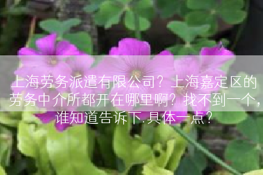 上海劳务派遣有限公司？上海嘉定区的劳务中介所都开在哪里啊？找不到一个，谁知道告诉下.具体一点？