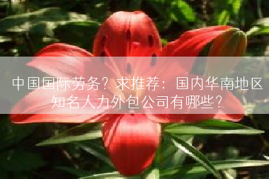 中国国际劳务？求推荐：国内华南地区知名人力外包公司有哪些？
