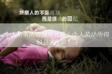 个人劳务所得税率计算（个人劳动所得税是20%吗？）