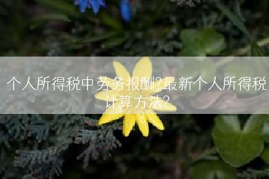 个人所得税中劳务报酬?最新个人所得税计算方法?