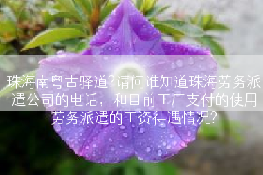 珠海南粤古驿道?请问谁知道珠海劳务派遣公司的电话，和目前工厂支付的使用劳务派遣的工资待遇情况?