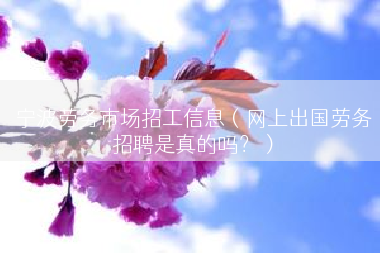 宁波劳务市场招工信息（网上出国劳务招聘是真的吗？）