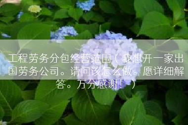 工程劳务分包经营范围（我想开一家出国劳务公司。请问该怎么做。愿详细解答。万分感谢！）