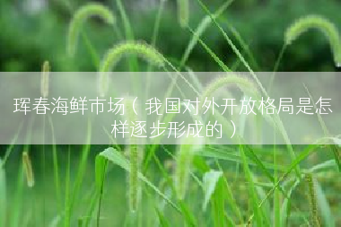 珲春海鲜市场（我国对外开放格局是怎样逐步形成的）
