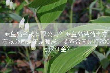 秦皇岛科技有限公司？秦皇岛洪劲土方有限公司是不是骗局，要签合同先打200万保证金？