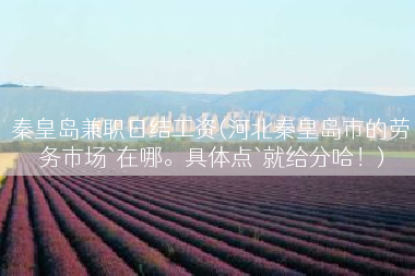 秦皇岛兼职日结工资(河北秦皇岛市的劳务市场`在哪。具体点`就给分哈！)