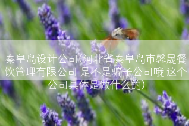 秦皇岛设计公司(河北省秦皇岛市馨晟餐饮管理有限公司 是不是骗子公司哦 这个公司具体是做什么的)