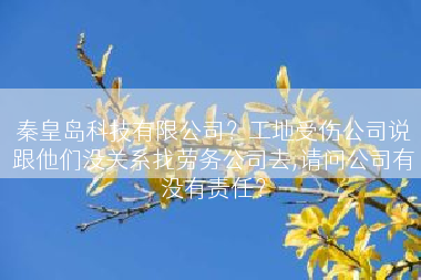 秦皇岛科技有限公司？工地受伤公司说跟他们没关系找劳务公司去,请问公司有没有责任？