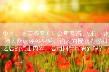 中国出国劳务网（用公司网络上wifi，登陆大众点评APP后，输入的搜索内容和之后的点击内容，公司网管能看到吗？）