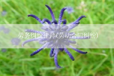 劳务纠纷律师(劳动合同纠纷)