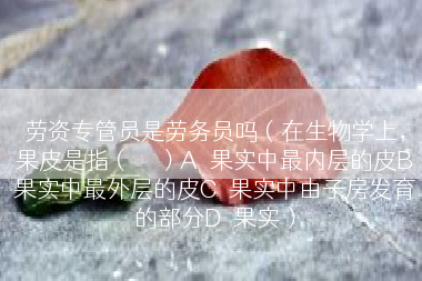 劳资专管员是劳务员吗（在生物学上，果皮是指（　　）A．果实中最内层的皮B．果实中最外层的皮C．果实中由子房发育的部分D．果实）