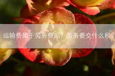运输费属于劳务费吗？劳务费交什么税？