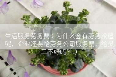 生活服务劳务费（为什么会有劳务派遣呢，企业还要给劳务公司服务费，给员工不好吗？）