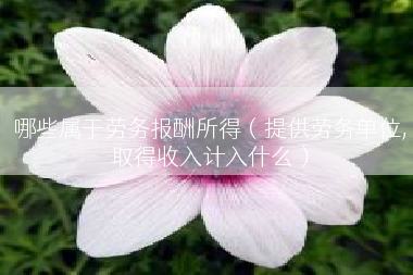 哪些属于劳务报酬所得（提供劳务单位,取得收入计入什么）