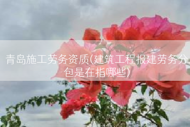 青岛施工劳务资质(建筑工程报建劳务分包是在指哪些)