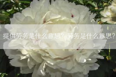 提供劳务是什么意思？劳务是什么意思？