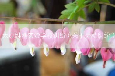 太原维刚实验学校纠纷（关于劳动纠纷）
