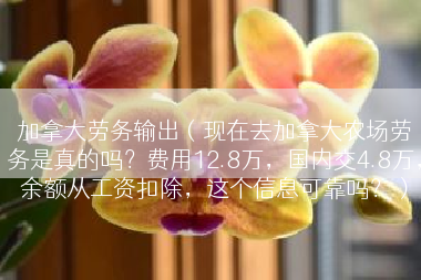 加拿大劳务输出（现在去加拿大农场劳务是真的吗？费用12.8万，国内交4.8万，余额从工资扣除，这个信息可靠吗？）