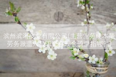 滨州滨海皮业有限公司(主营业务成本是劳务派遣人员工资在现金流里指哪？)
