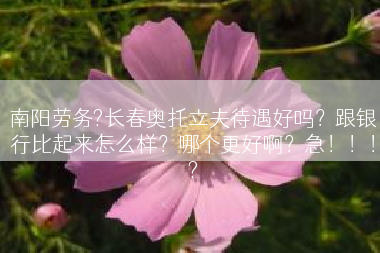 南阳劳务?长春奥托立夫待遇好吗？跟银行比起来怎么样？哪个更好啊？急！！！?