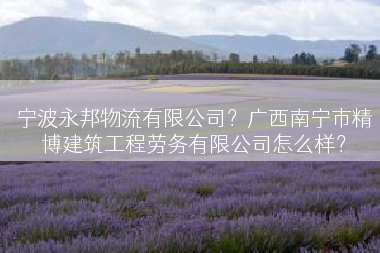 宁波永邦物流有限公司？广西南宁市精博建筑工程劳务有限公司怎么样？