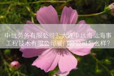 中远劳务有限公司？大连中远海运海事工程技术有限公司厦门分公司怎么样？