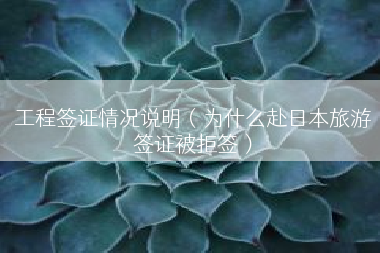 工程签证情况说明（为什么赴日本旅游签证被拒签）
