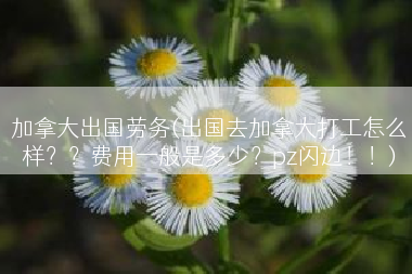 加拿大出国劳务(出国去加拿大打工怎么样？？费用一般是多少？pz闪边！！)