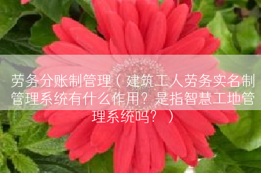 劳务分账制管理（建筑工人劳务实名制管理系统有什么作用？是指智慧工地管理系统吗？）