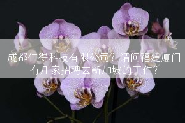 成都仁得科技有限公司？请问福建厦门有几家招聘去新加坡的工作？
