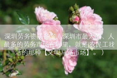 深圳劳务资质备案（深圳市最大的、人最多的劳务市场在哪里，就是i农民工找活的那种【又叫马路市场】。）