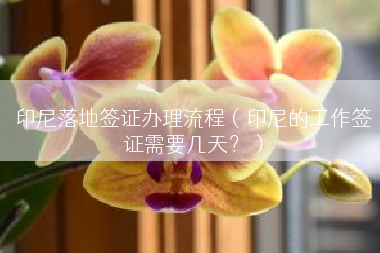 印尼落地签证办理流程（印尼的工作签证需要几天？）