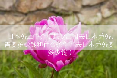 日本务工中介（想要出国去日本劳务，需要多少钱和什么条件？去日本劳务要多少钱）