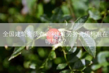 全国建筑资质查询?建筑劳务资质标准在哪里查?