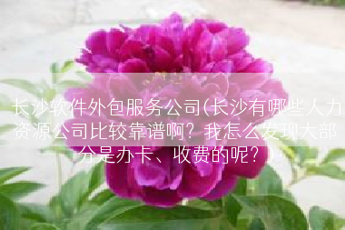 长沙软件外包服务公司(长沙有哪些人力资源公司比较靠谱啊？我怎么发现大部分是办卡、收费的呢？)