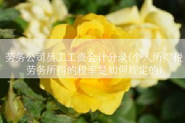 劳务公司员工工资会计分录(个人所得税劳务所得的税率是如何规定的)
