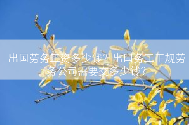 出国劳务工资多少钱？出国务工正规劳务公司需要交多少钱？