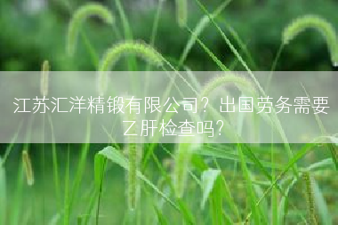 江苏汇洋精锻有限公司？出国劳务需要乙肝检查吗？