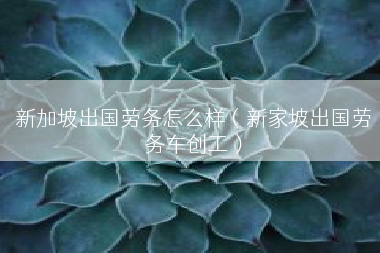 新加坡出国劳务怎么样（新家坡出国劳务车创工）