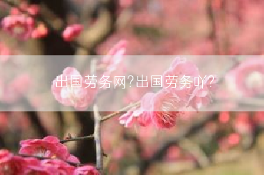 出国劳务网?出国劳务吖?