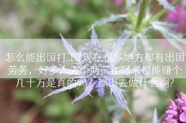 怎么能出国打工?现在很多地方都有出国劳务，好多人去个两三年回来都能赚个几十万是真的吗？都出去做什么啊?