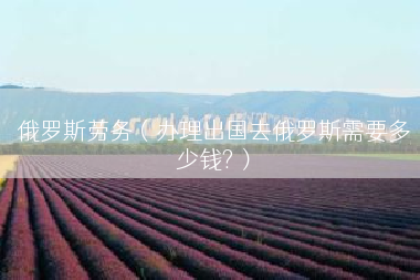 俄罗斯劳务（办理出国去俄罗斯需要多少钱?）