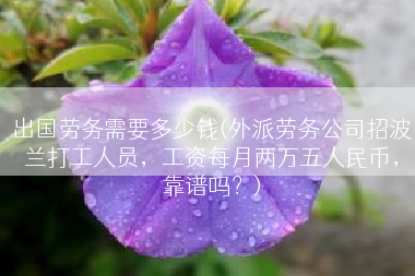 出国劳务需要多少钱(外派劳务公司招波兰打工人员，工资每月两万五人民币，靠谱吗？)