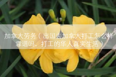 加拿大劳务（出国去加拿大打工怎么样靠谱吗，打工的华人真实生活）