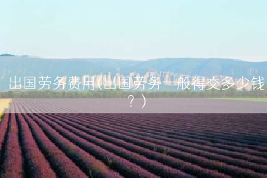 出国劳务费用(出国劳务一般得交多少钱？)