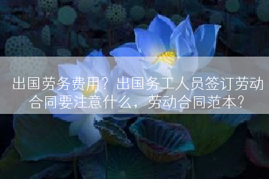 出国劳务费用？出国务工人员签订劳动合同要注意什么，劳动合同范本？