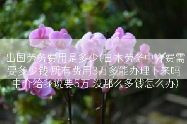 出国劳务费用是多少(日本劳务中介费需要多少钱 所有费用3万多能办理下来吗 中介给我说要5万 没那么多钱怎么办)