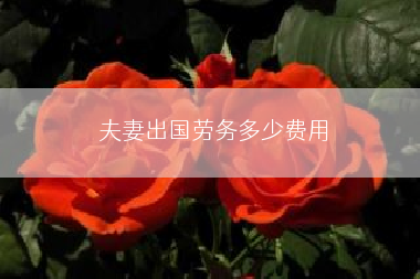 夫妻出国劳务多少费用