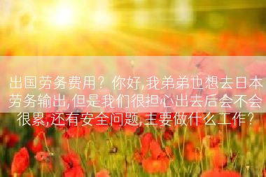 出国劳务费用？你好,我弟弟也想去日本劳务输出,但是我们很担心出去后会不会很累,还有安全问题,主要做什么工作？